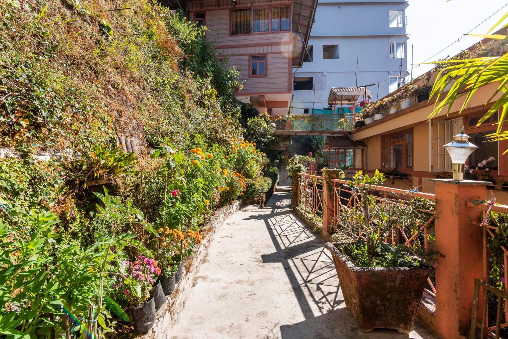 Little Singamari Home Stay Darjeeling  Dış mekan fotoğraf