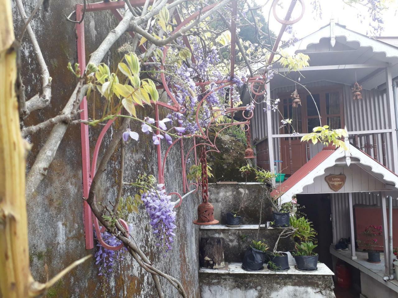 Little Singamari Home Stay Darjeeling  Dış mekan fotoğraf