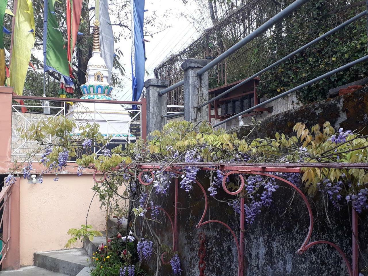 Little Singamari Home Stay Darjeeling  Dış mekan fotoğraf