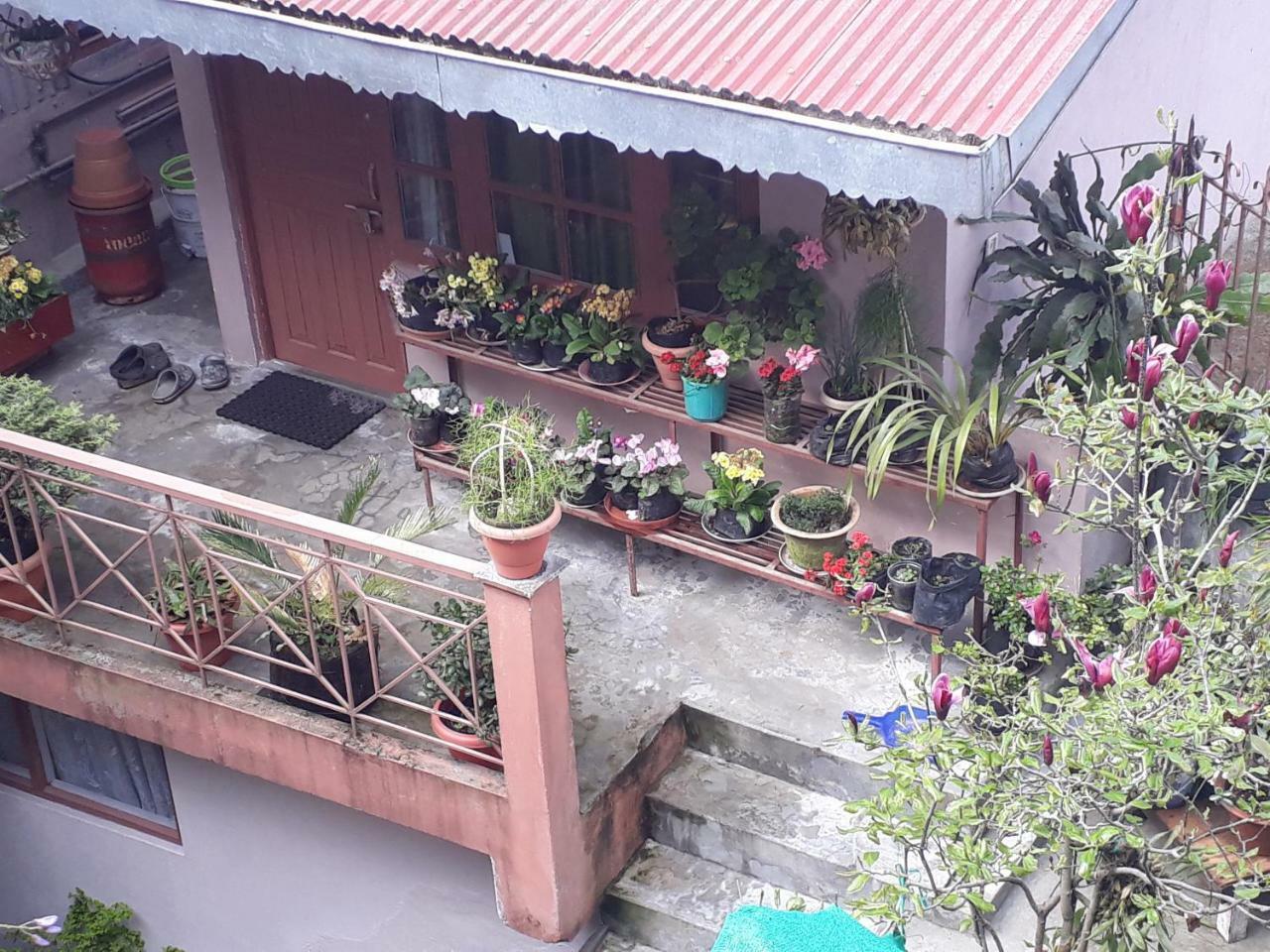 Little Singamari Home Stay Darjeeling  Dış mekan fotoğraf
