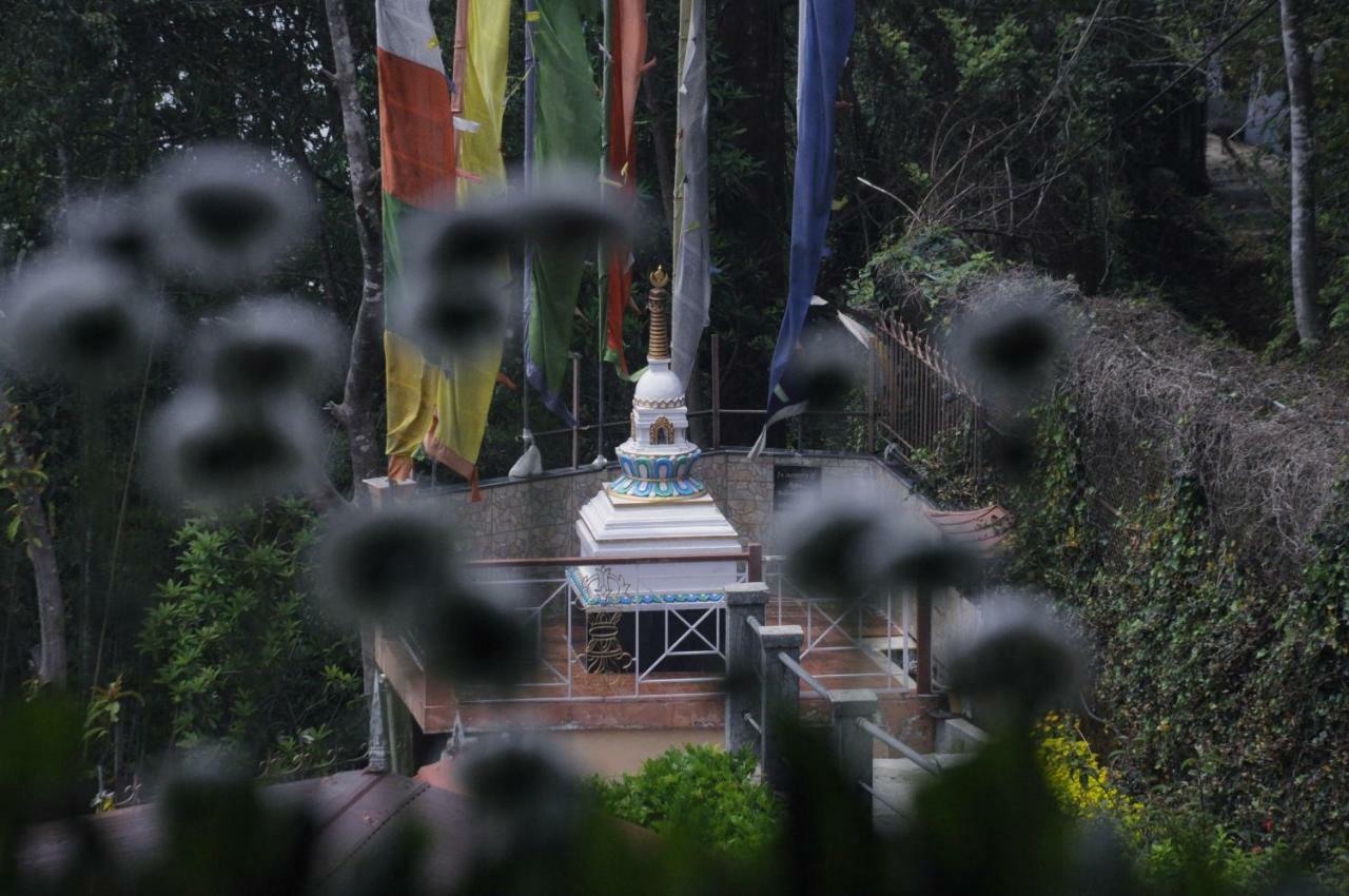Little Singamari Home Stay Darjeeling  Dış mekan fotoğraf