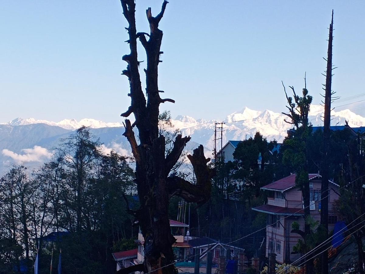 Little Singamari Home Stay Darjeeling  Dış mekan fotoğraf